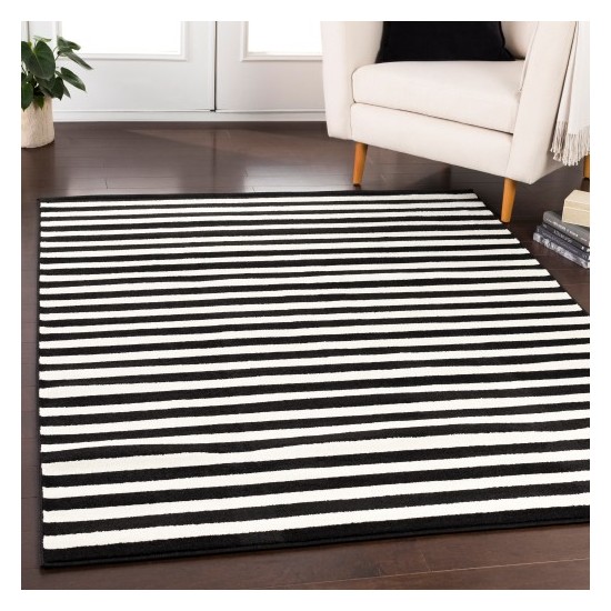 Surya Horizon HRZ-1082 2' x 3' Rug