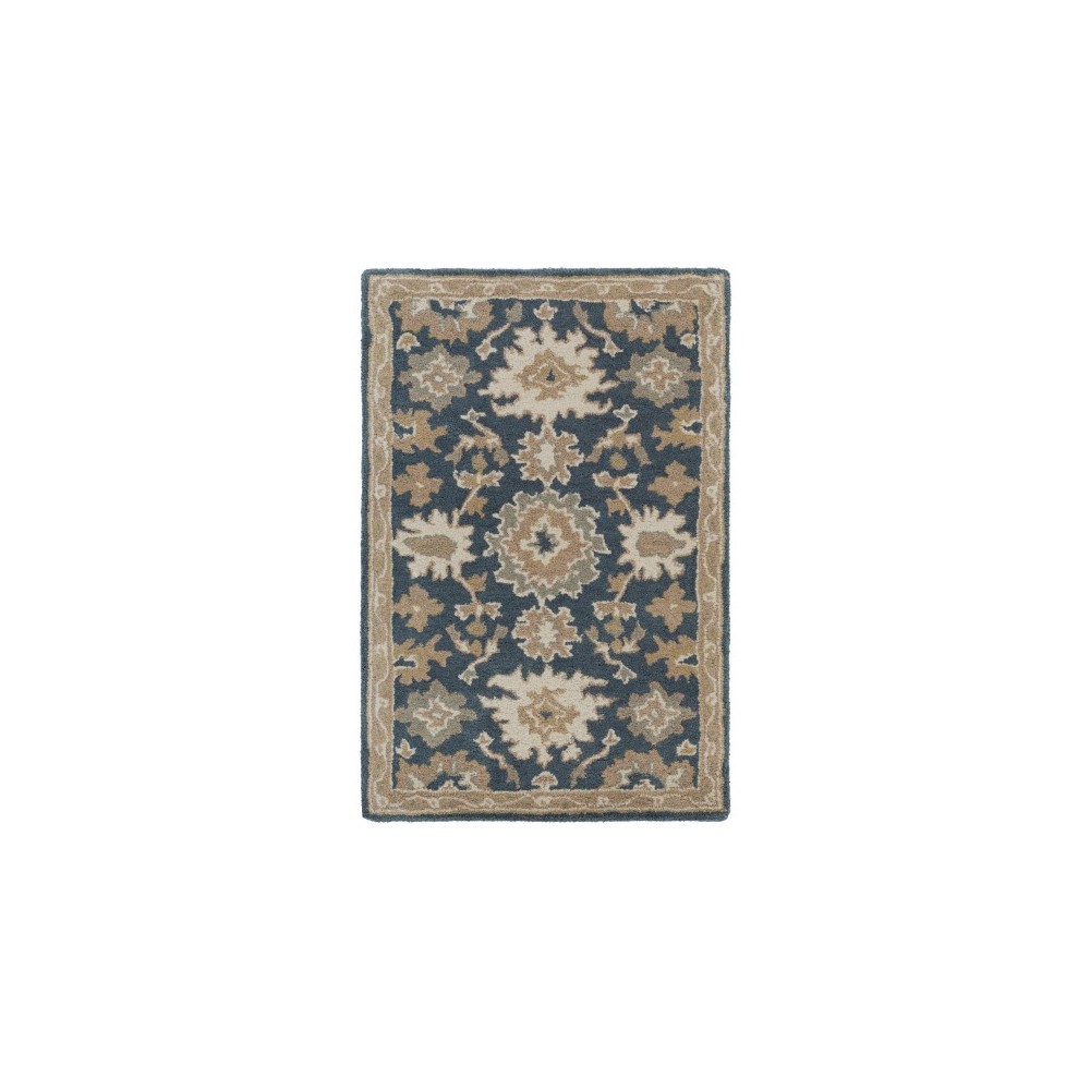 Surya Caesar CAE-1154 2' x 4' Hearth Rug