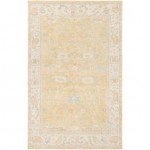 Surya Westchester WTC-8004 2' x 3' Rug