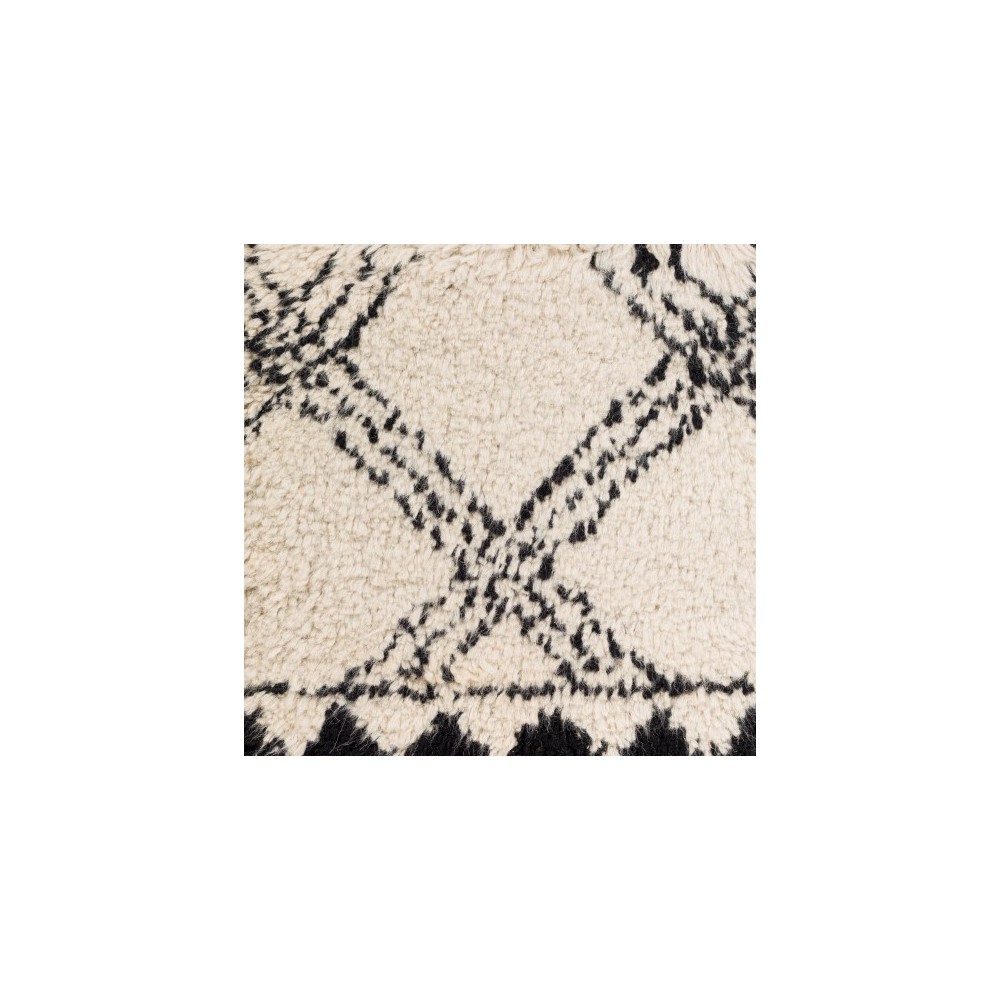 Surya Riad RID-3002 4' x 6' Rug Surya Riad RID-3002 4' x 6' Rug