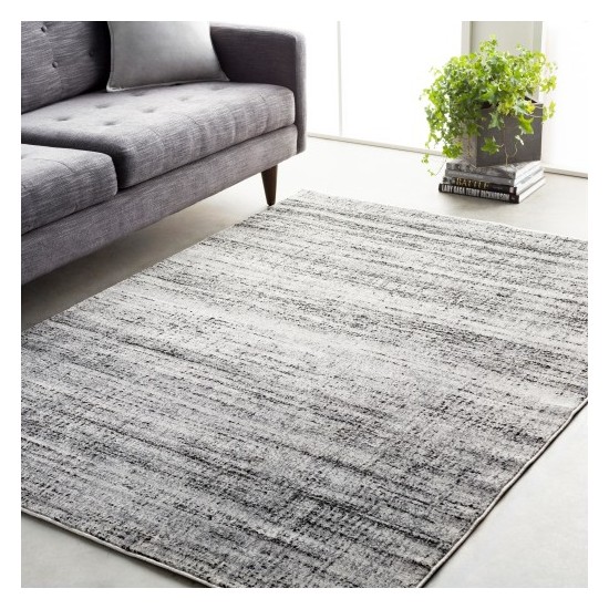 Surya Amadeo ADO-1007 2' x 3'7" Rug