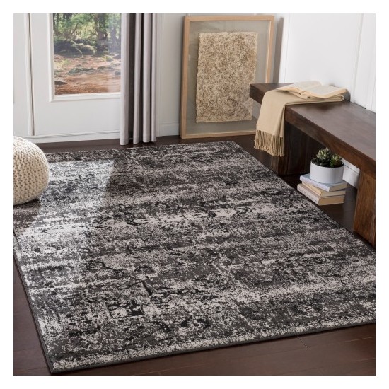 Surya Paramount PAR-1060 1'10" x 2'11" Rug