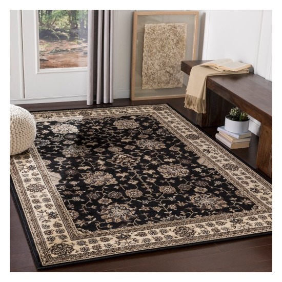 Surya Paramount PAR-1070 1'10" x 2'11" Rug