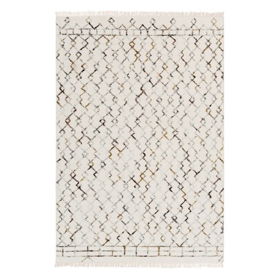 Surya Nettie NET-1001 2' x 3' Rug