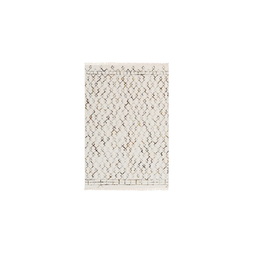 Surya Nettie NET-1001 2' x 3' Rug