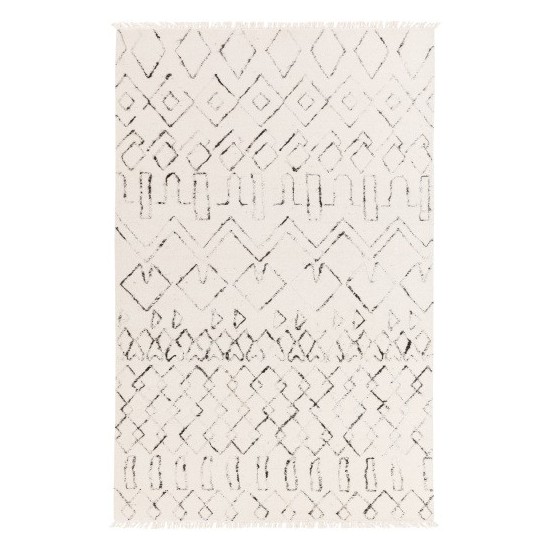 Surya Nettie NET-1003 2' x 3' Rug