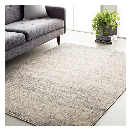 Surya Amadeo ADO-1011 5'3" x 7'3" Rug