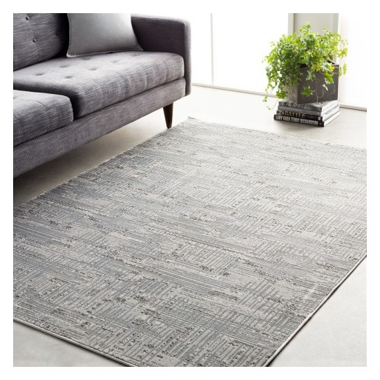 Surya Amadeo ADO-1015 2' x 3'7" Rug