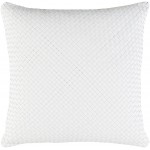 Surya Kenzie KNZ-002 20" x 20" Pillow Kit