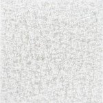 Surya Galaxy Shag GYS-4500 6'7" x 9'6" Rug