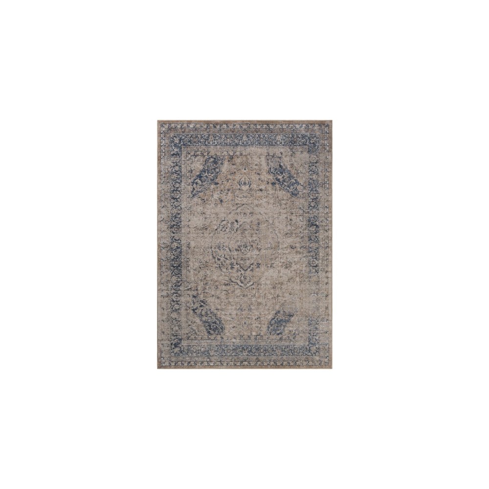 Surya Durham DUR-1003 5'3" x 7'3" Rug