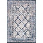 Surya Durham DUR-1005 2' x 2'11" Rug