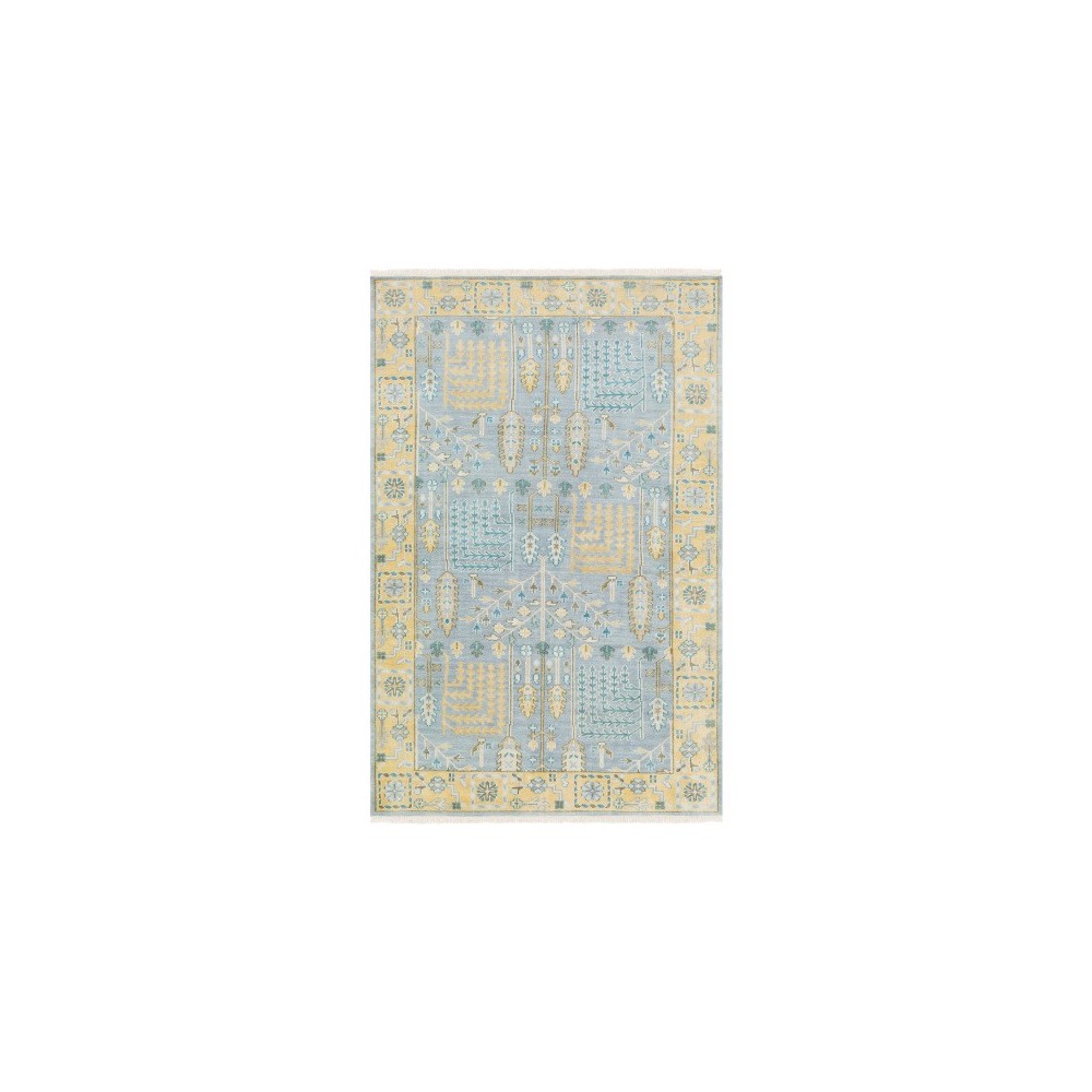 Surya Elixir EXI-1004 2' x 3' Rug