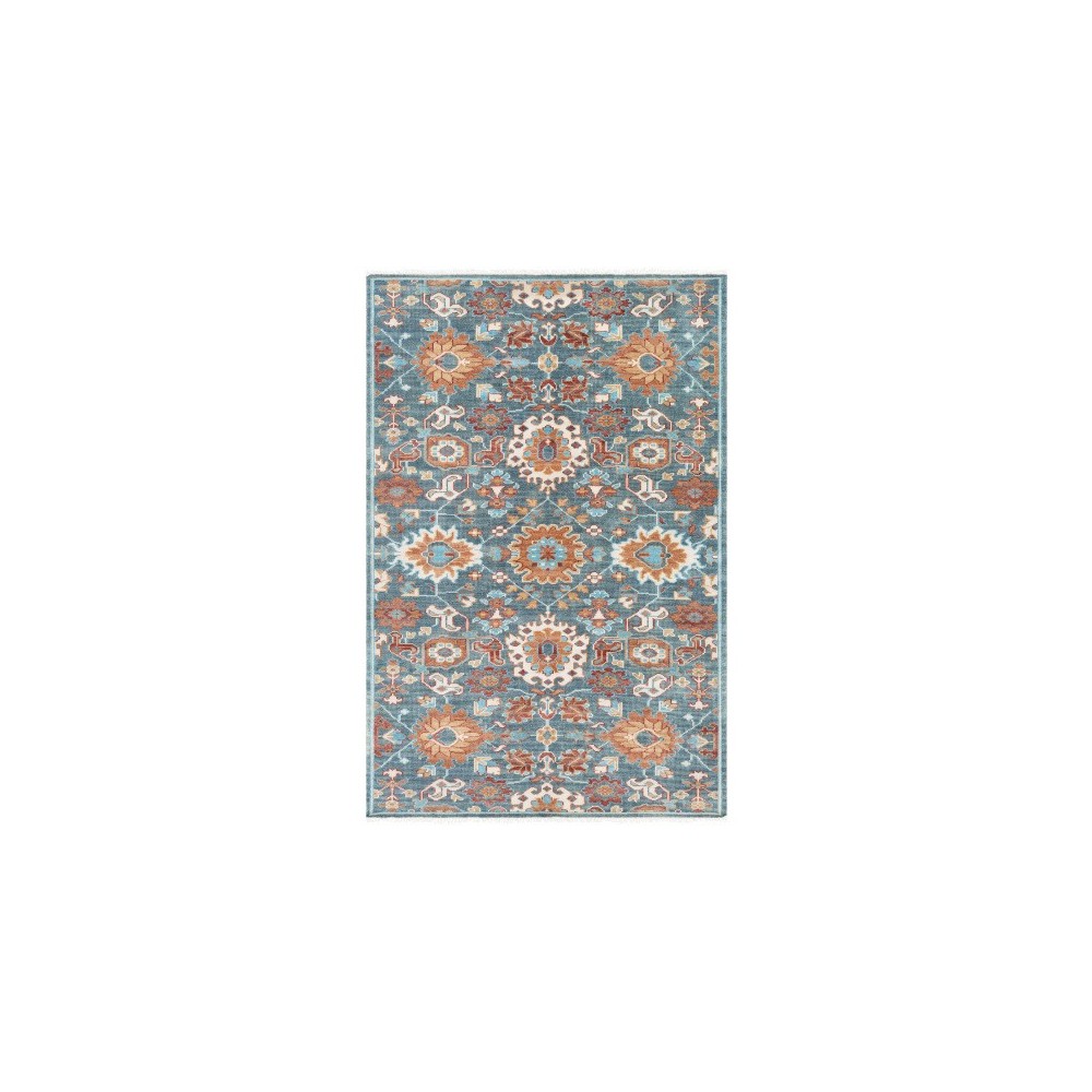 Surya Elixir EXI-1006 2' x 3' Rug Surya Elixir EXI-1006 2' x 3' Rug