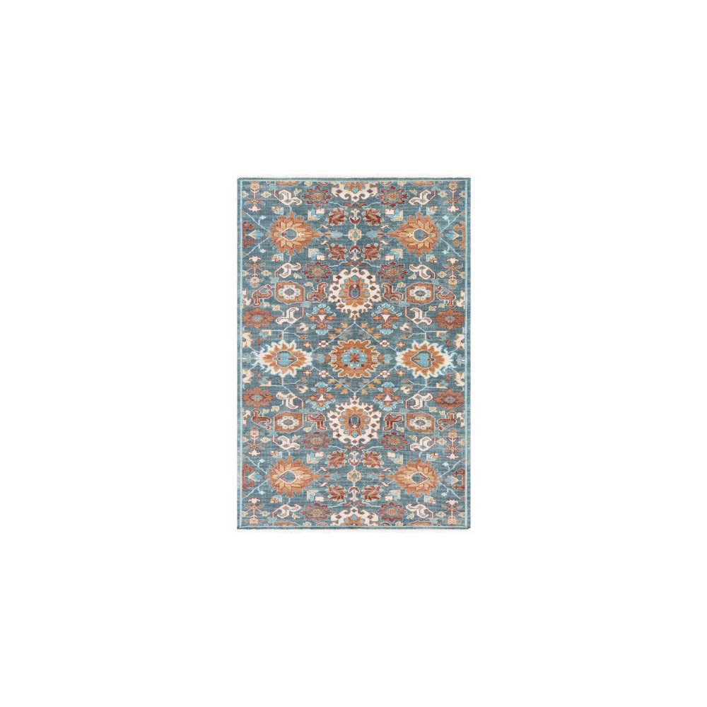 Surya Elixir EXI-1006 6' x 9' Rug