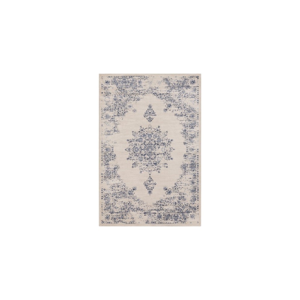 Surya Kaitlyn KTN-1015 7'10" x 10'6" Rug