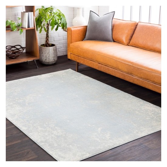 Surya Aberdine ABE-8028 5'2" x 7'6" Rug