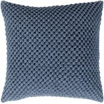 Surya Godavari GDA-001 22" x 22" Pillow Cover