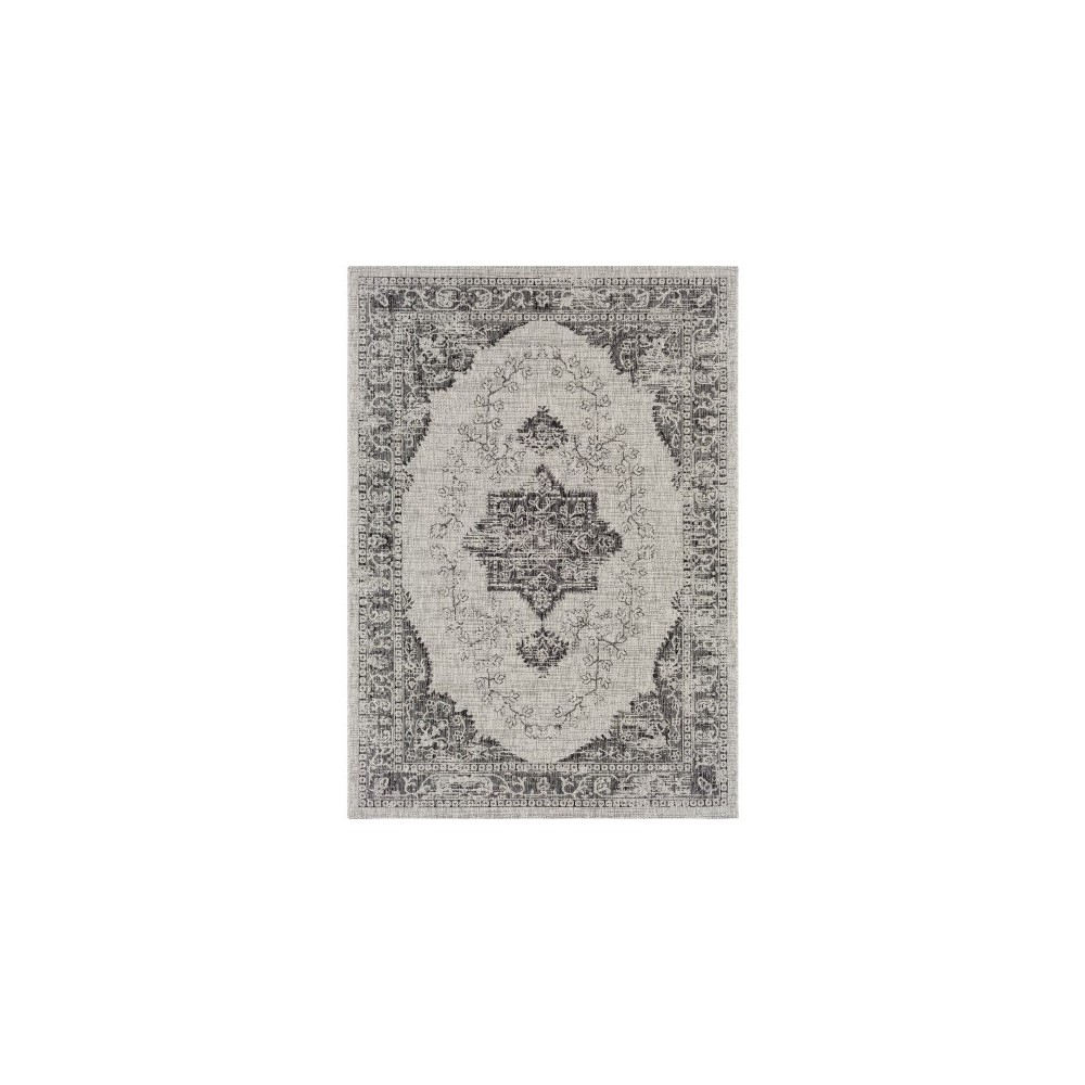 Surya Eagean EAG-2304 2' x 2'11" Rug