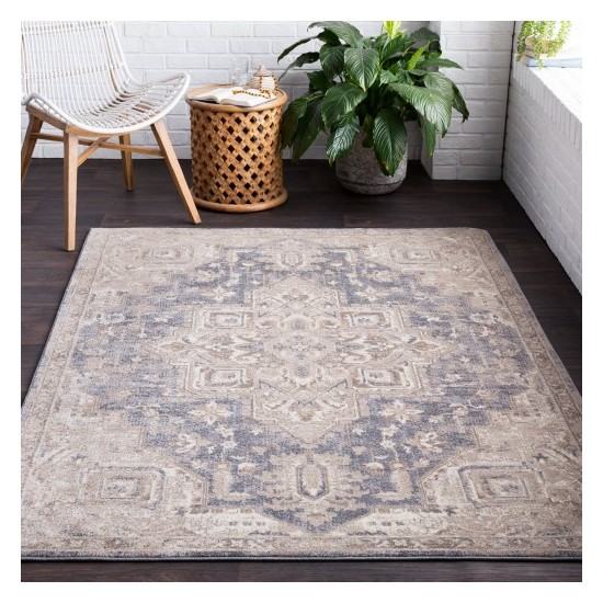 Surya Ayasofya AYA-3410 2' x 2'11" Rug