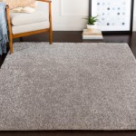Surya Alaska Shag AAS-2300 2' x 2'11" Rug