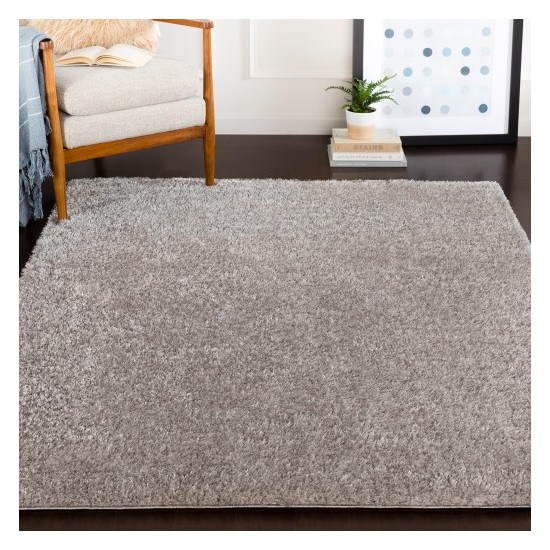 Surya Alaska Shag AAS-2300 2' x 2'11" Rug