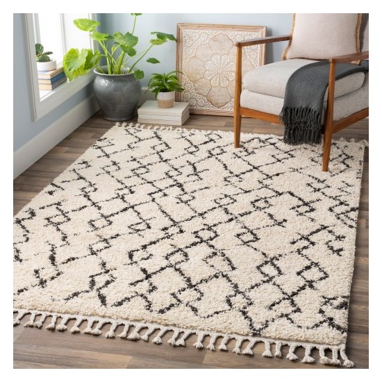 Surya Berber Shag BBE-2301 2' x 2'11" Rug