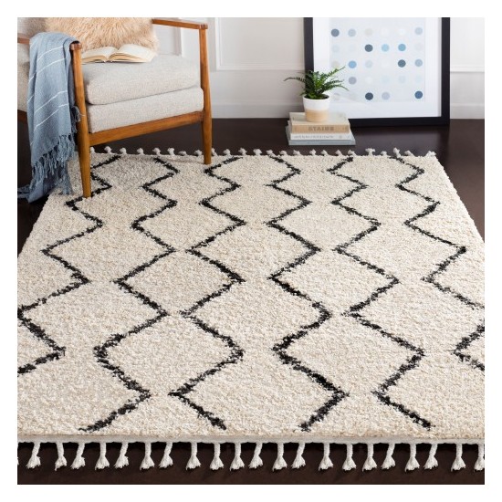 Surya Berber Shag BBE-2303 2' x 2'11" Rug