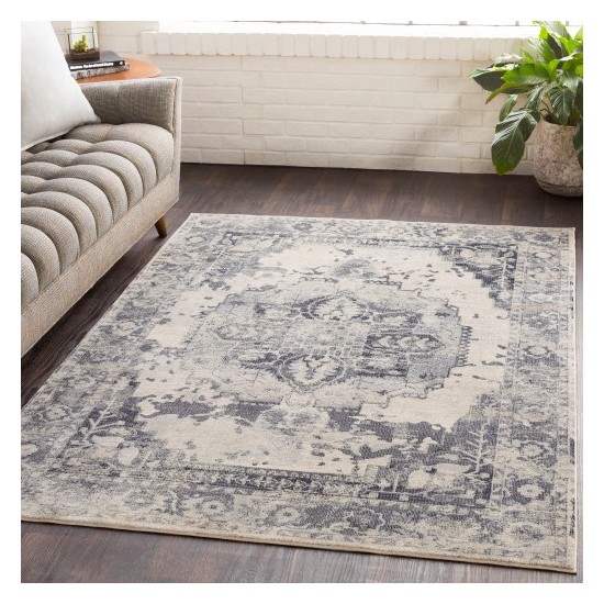 Surya Aura Silk ASK-2326 2' x 3' Rug