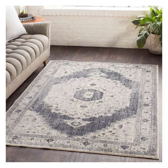 Surya Aura Silk ASK-2327 2' x 3' Rug