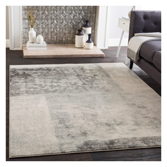 Surya Harput HAP-1059 2'7" x 7'3" Rug