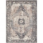 Surya Chelsea CSA-2304 2' x 3' Rug