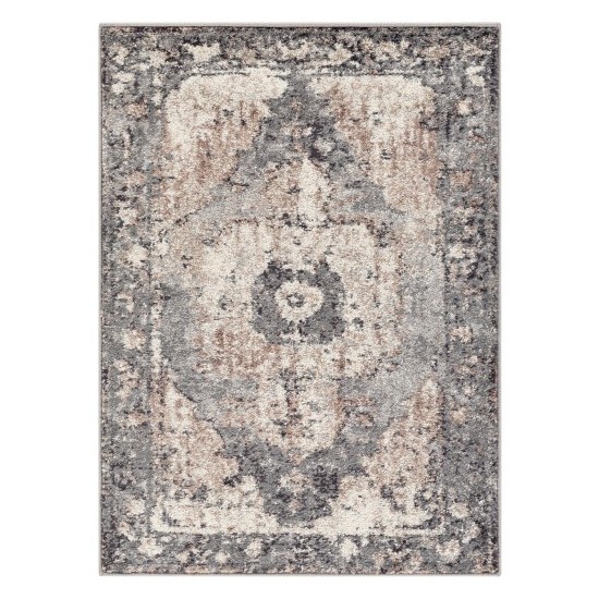 Surya Chelsea CSA-2304 2' x 3' Rug