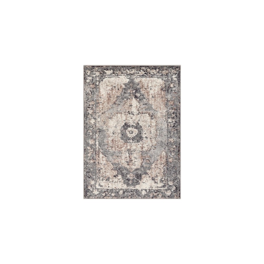 Surya Chelsea CSA-2304 2' x 3' Rug