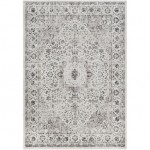 Surya Chelsea CSA-2306 2' x 3' Rug