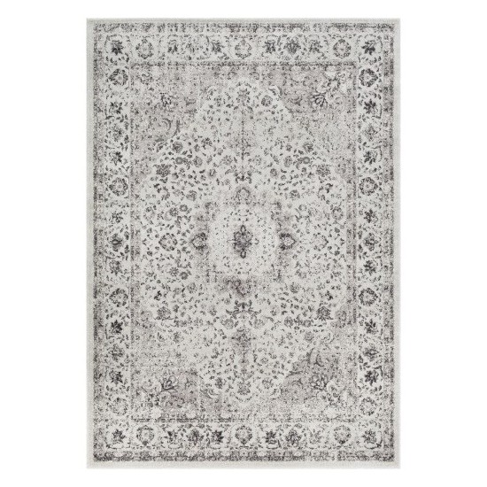 Surya Chelsea CSA-2306 2' x 3' Rug