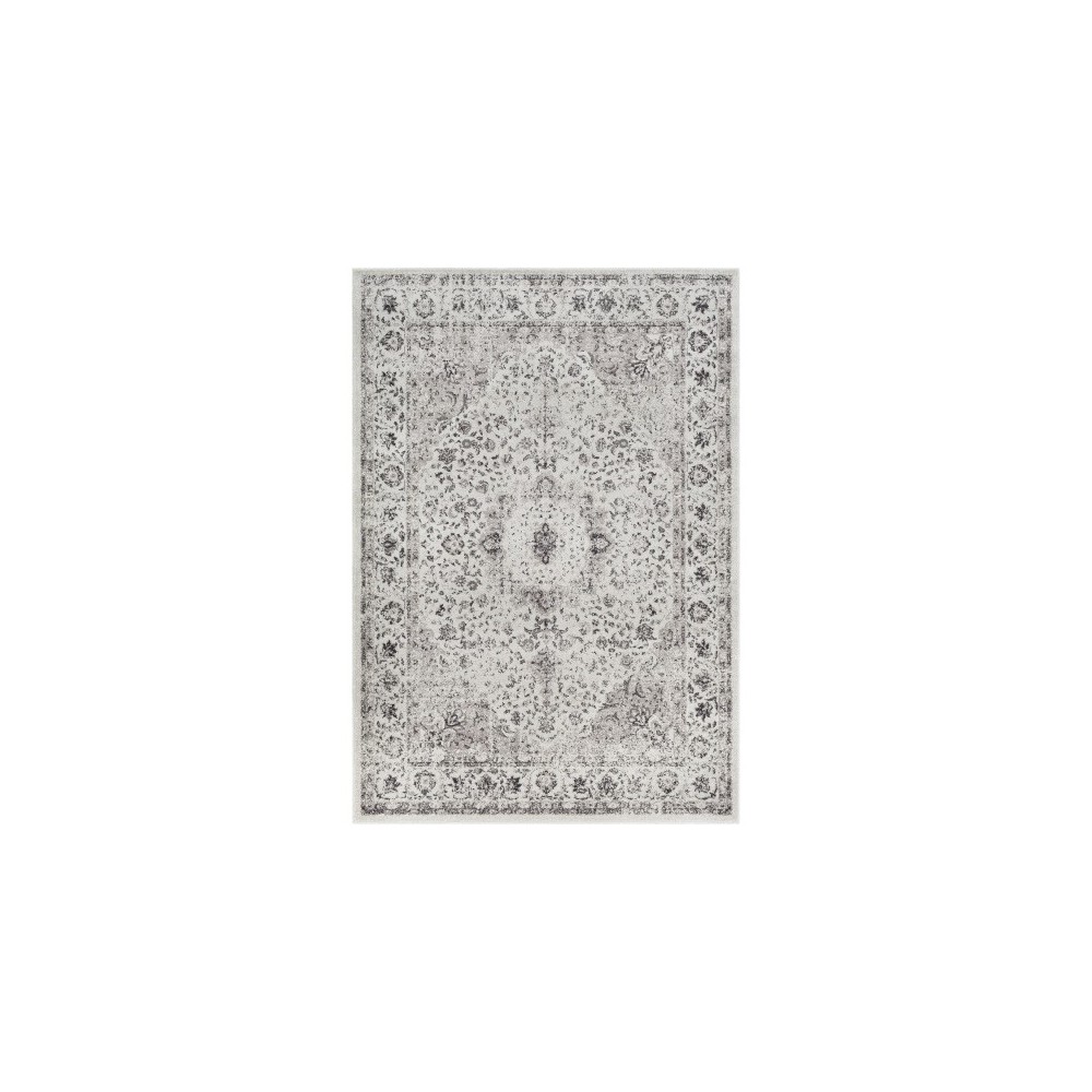 Surya Chelsea CSA-2306 2' x 3' Rug