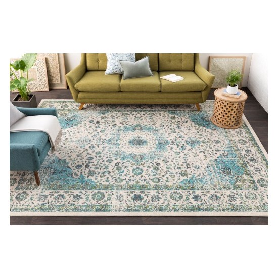 Surya Chelsea CSA-2315 2' x 3' Rug