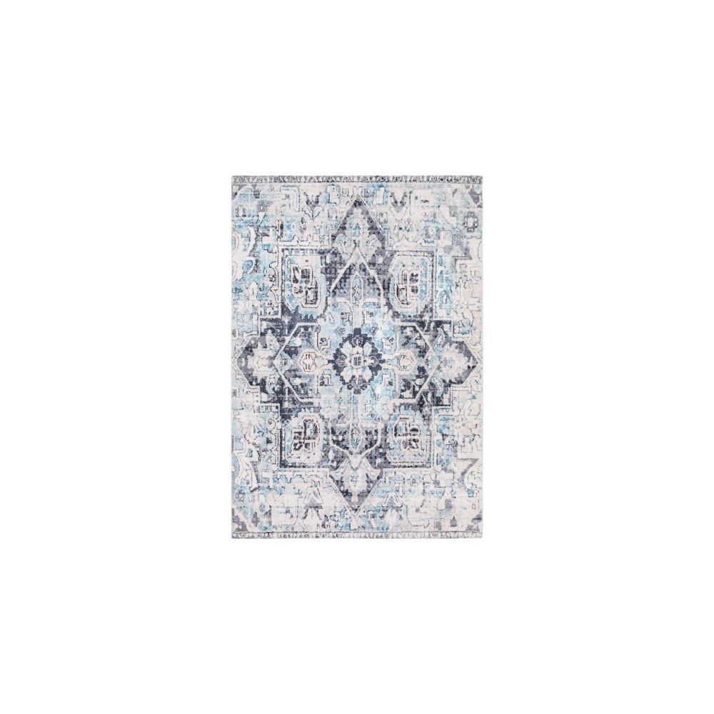 Surya Apricity APY-1014 2' x 3' Rug