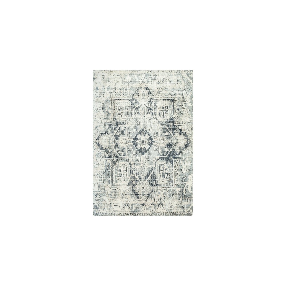 Surya Apricity APY-1015 2' x 3' Rug