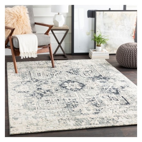 Surya Apricity APY-1015 2' x 3' Rug