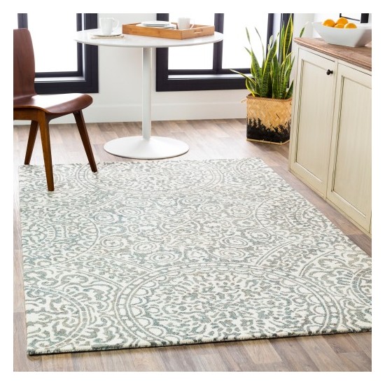 Surya Cassini CSI-1000 2' x 3' Rug