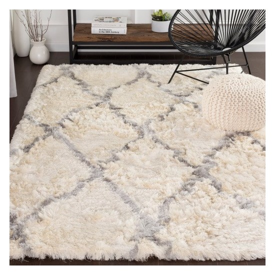 Surya Corsair CSR-1000 2' x 3' Rug