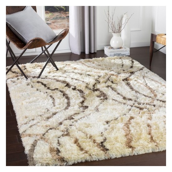 Surya Corsair CSR-1004 2' x 3' Rug