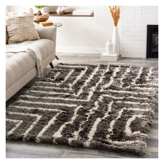 Surya Corsair CSR-1005 2' x 3' Rug