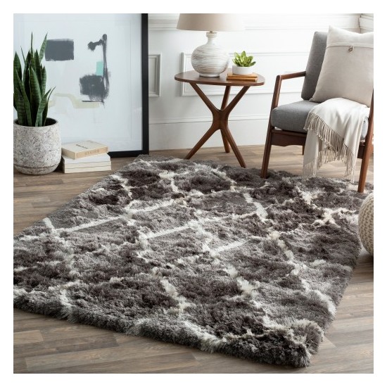 Surya Corsair CSR-1006 2' x 3' Rug