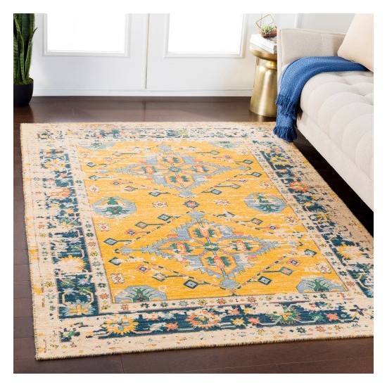 Surya Trailblazer TZR-1004 2' x 2'9" Rug