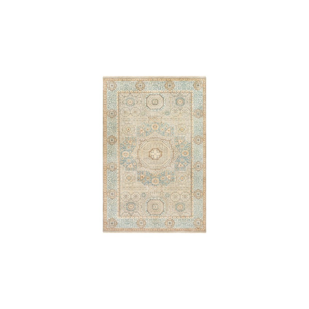 Surya Cambridge CMB-8014 5'6" x 8'6" Rug