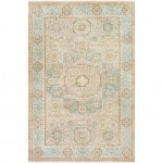 Surya Cambridge CMB-8014 2' x 3' Rug