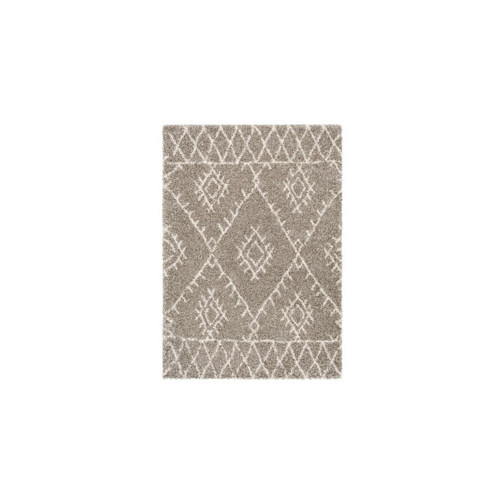 Surya Serengeti Shag SGT-2300 2' x 3' Rug